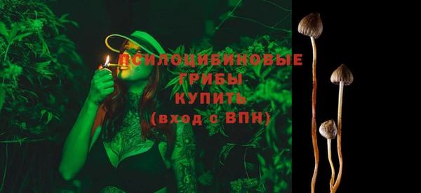 ГАЛЛЮЦИНОГЕННЫЕ ГРИБЫ Волоколамск