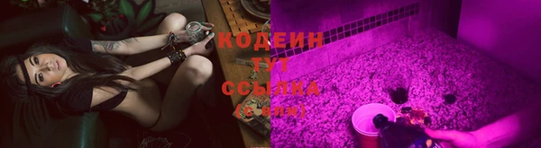 сатива Волосово