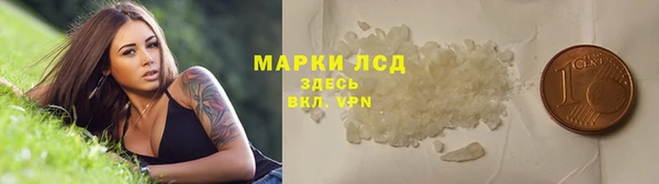 сатива Волосово