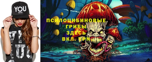 ГАЛЛЮЦИНОГЕННЫЕ ГРИБЫ Волоколамск