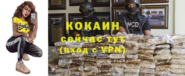 сатива Волосово